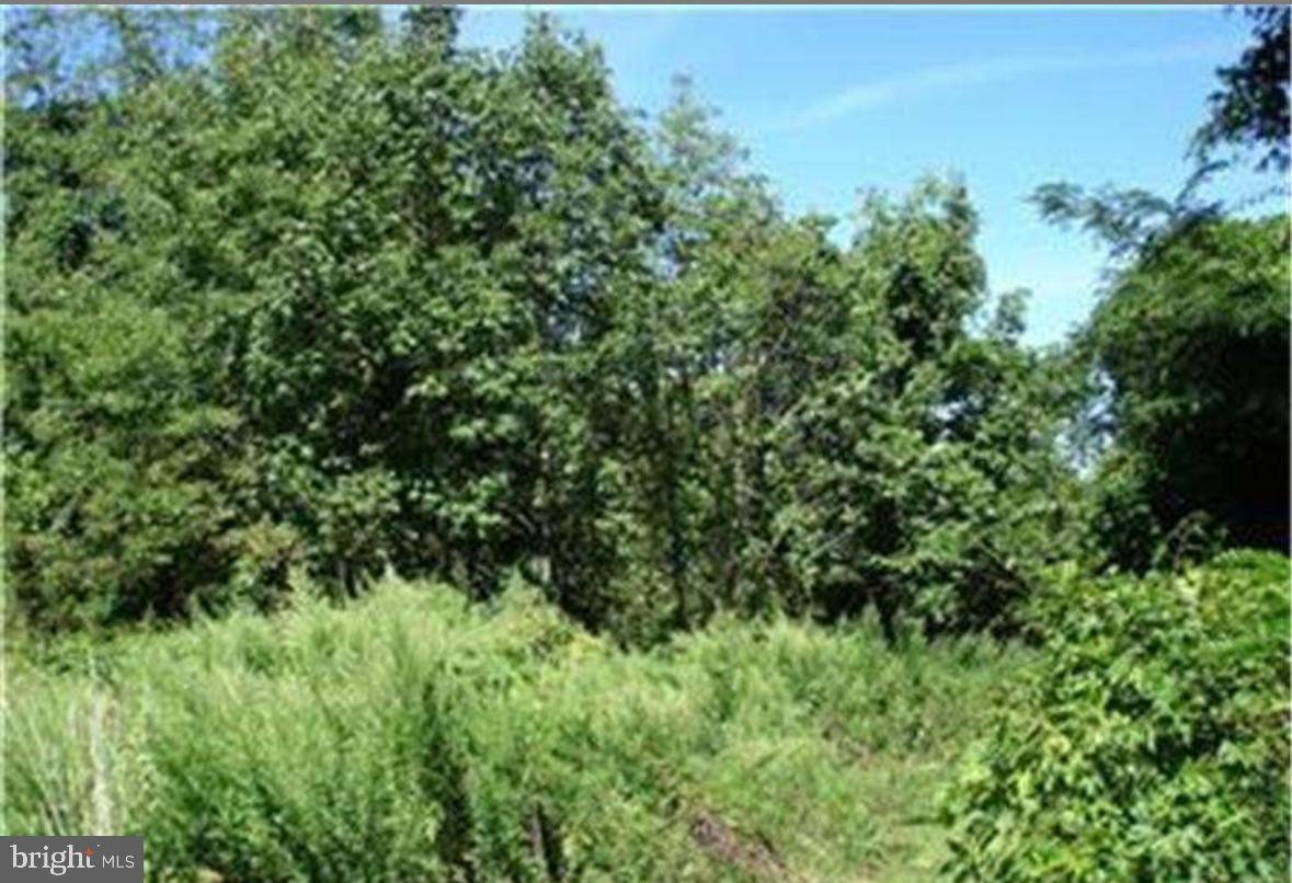 2155 BUTTONWOOD LN Property Photo 1