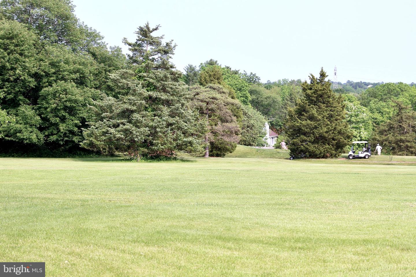 520 Upper Mainland Rd Property Photo 12