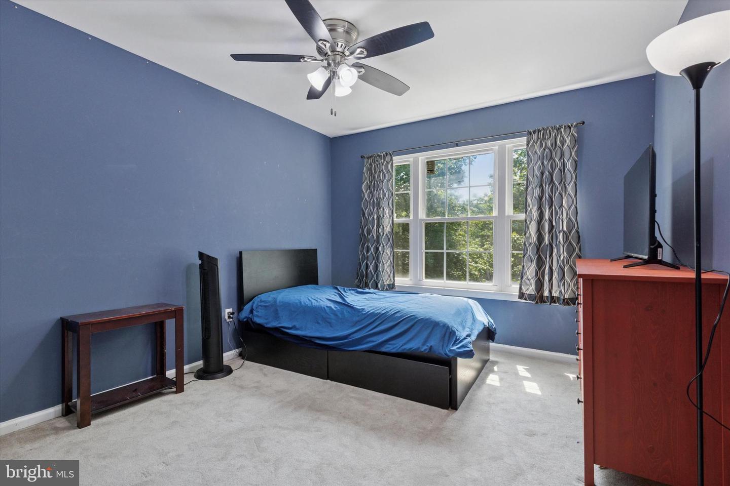 78 Walker Property Photo 19