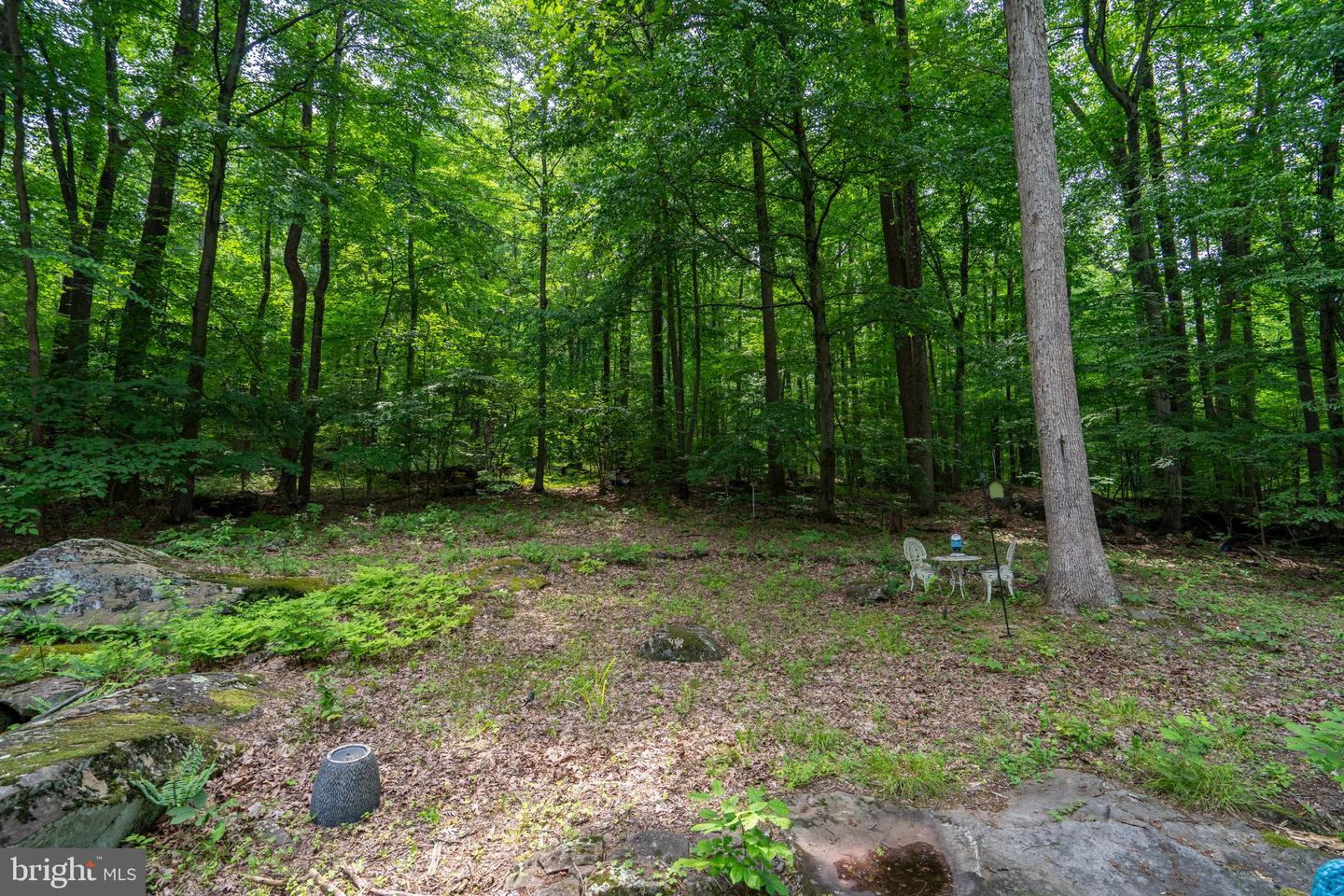 284 Whites Mill Rd Property Photo 51