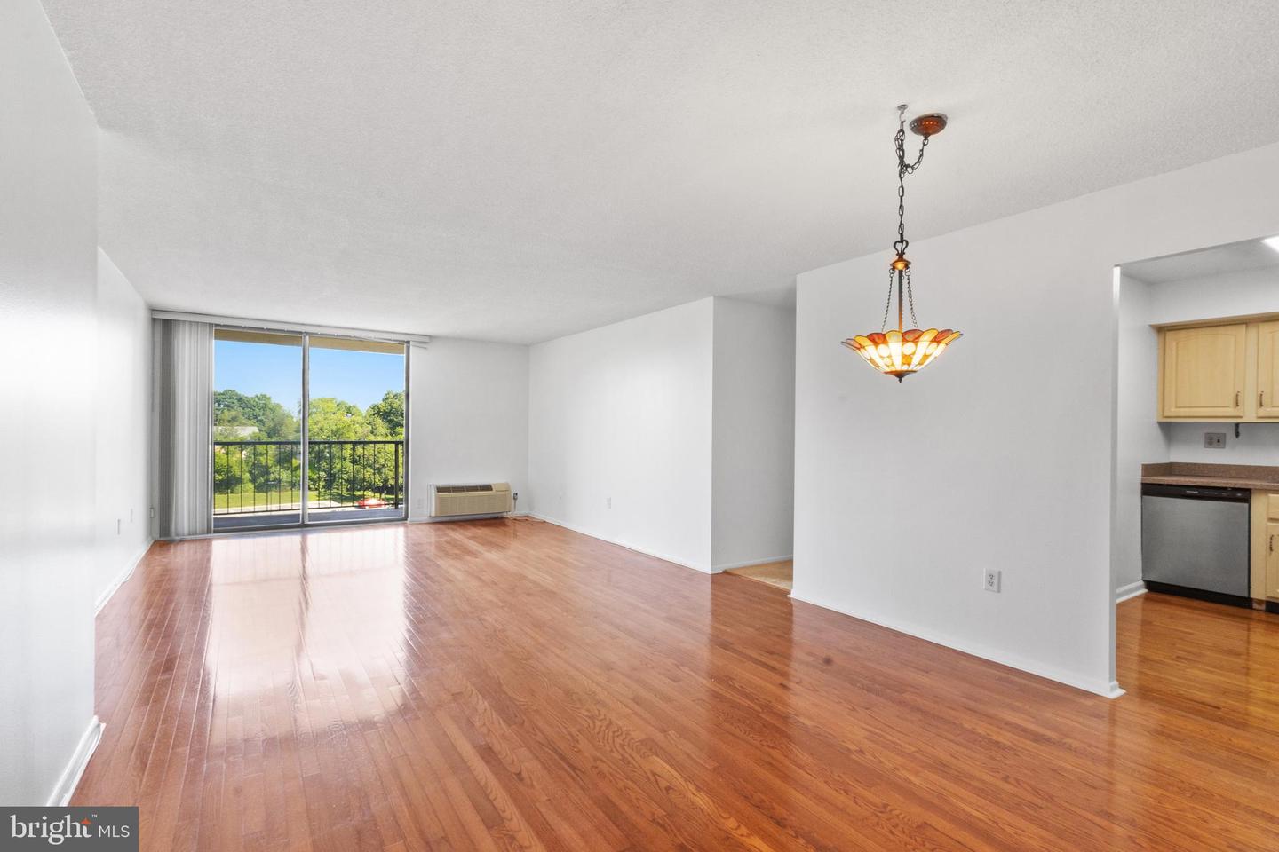 666 W Germantown Pike #2706 Property Photo 10