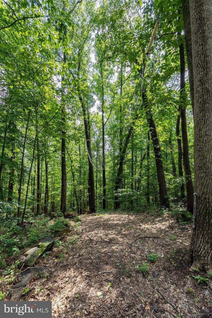 2488 Sanatoga Rd Property Photo 87
