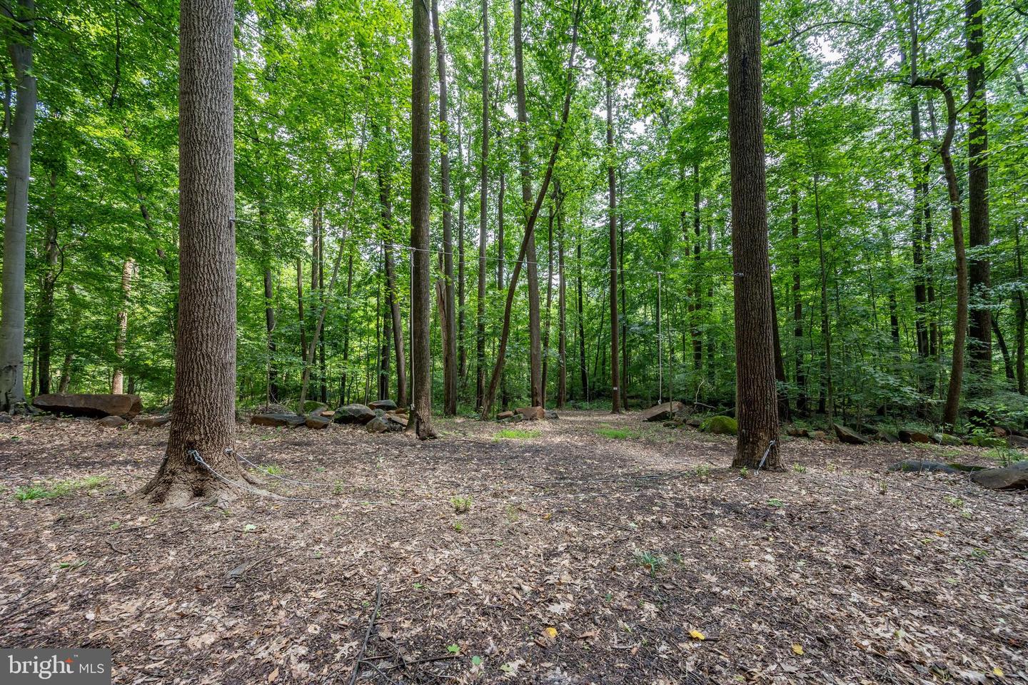 2488 Sanatoga Rd Property Photo 89