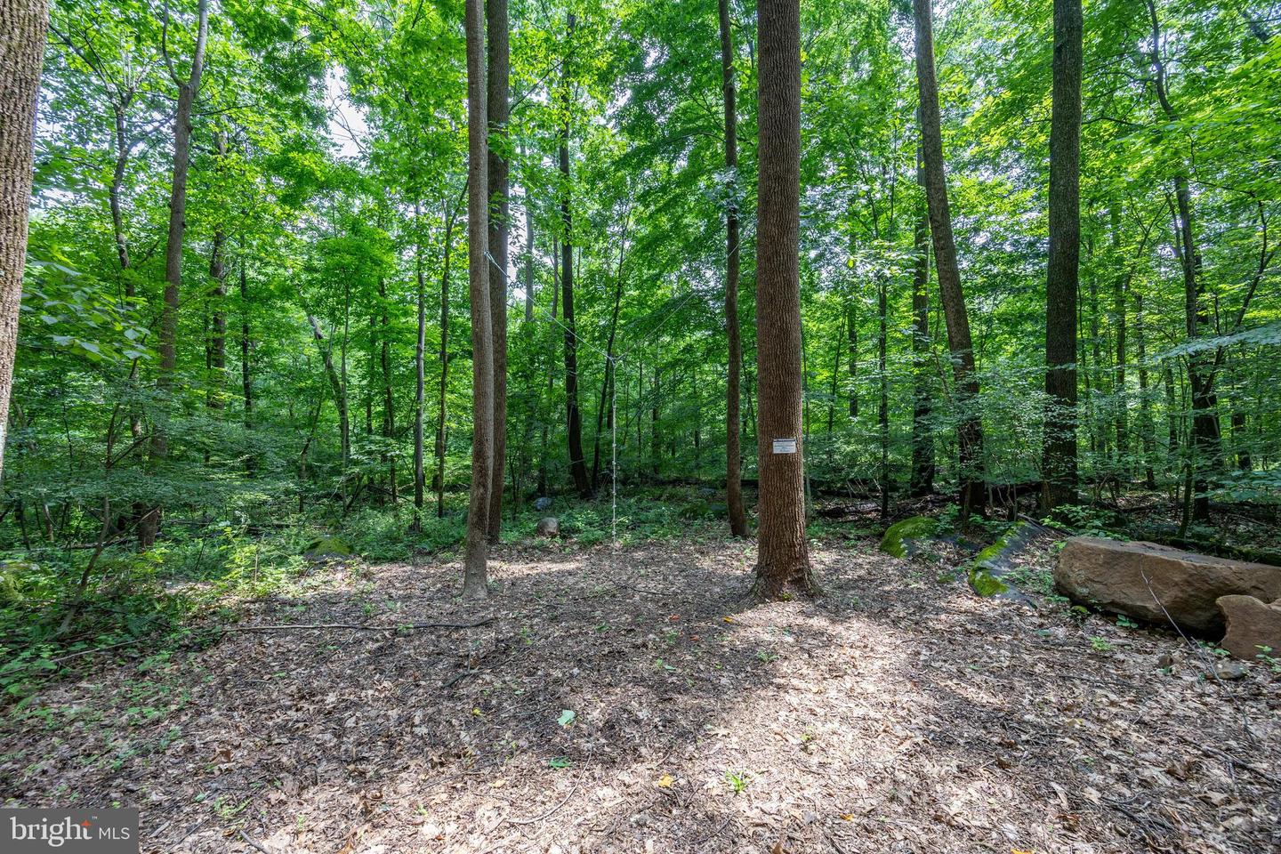 2488 Sanatoga Rd Property Photo 90