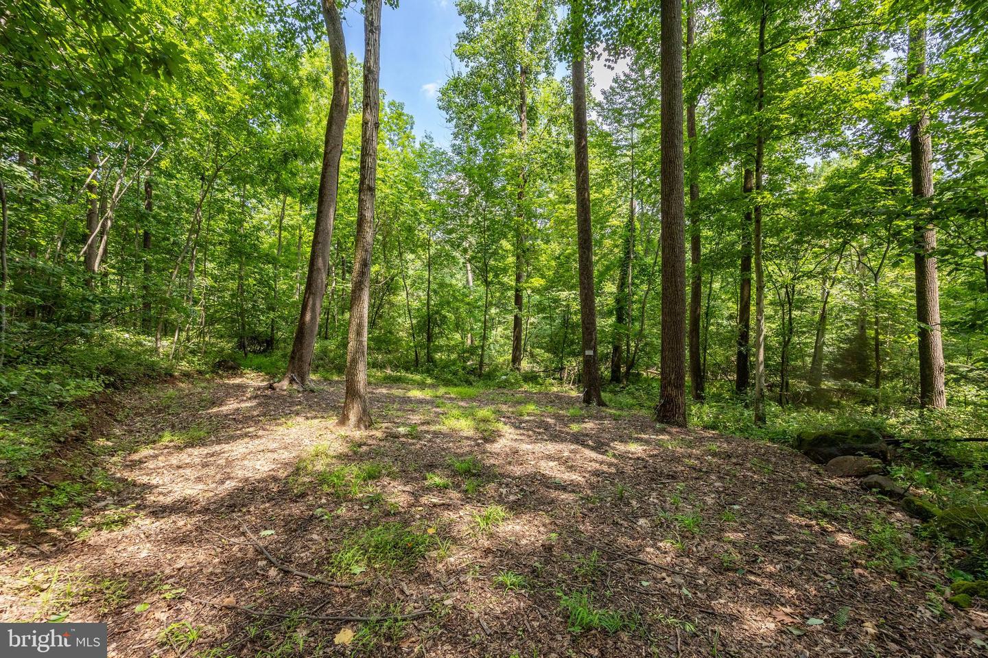2488 Sanatoga Rd Property Photo 92