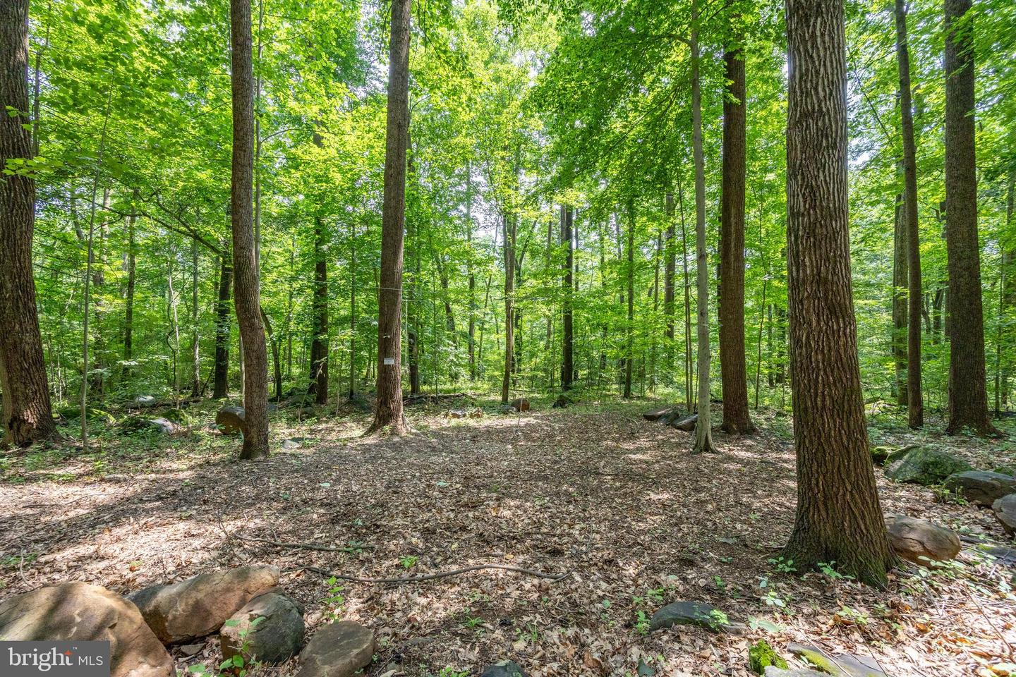 2488 Sanatoga Rd Property Photo 93
