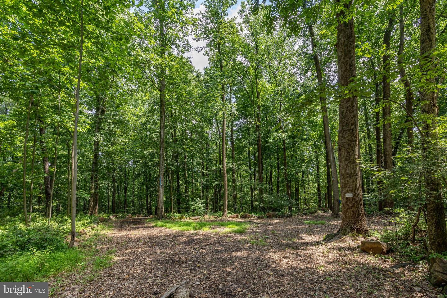 2488 Sanatoga Rd Property Photo 95