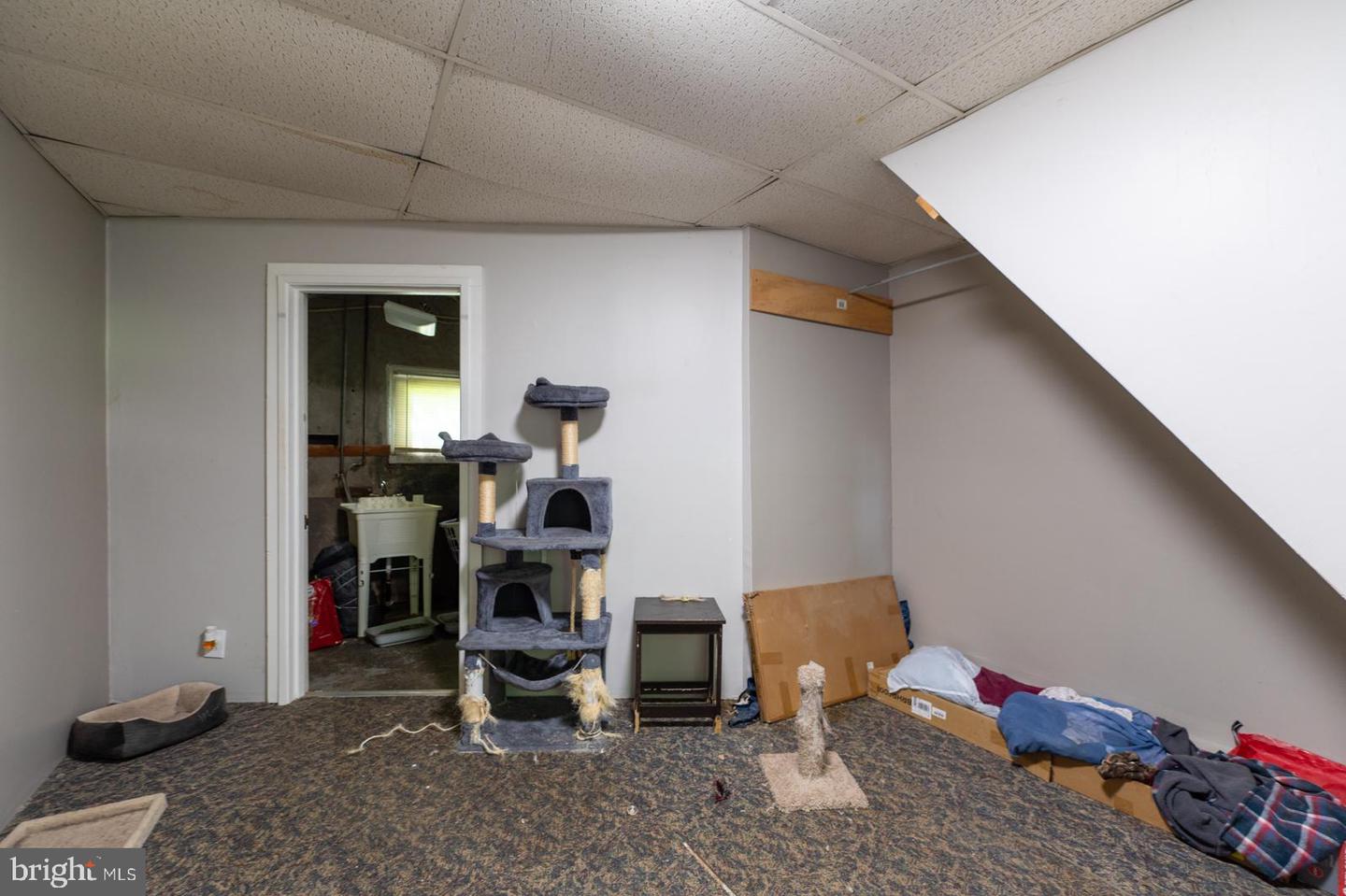 151 Chestnut St Property Photo 45