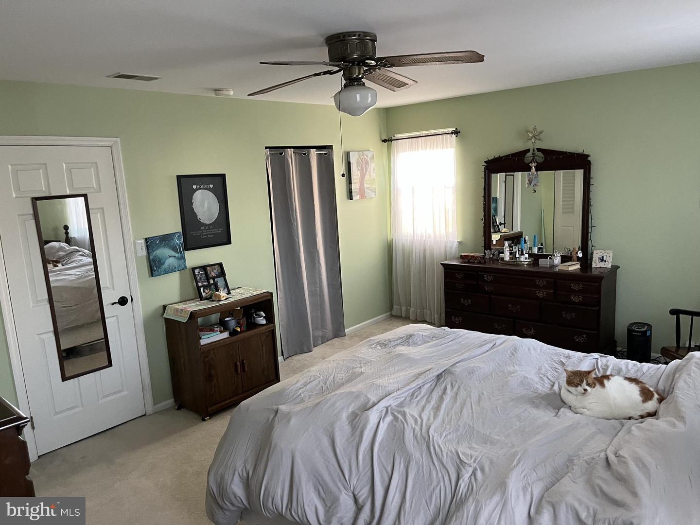 3501 Walnut Ridge Est Property Photo 24