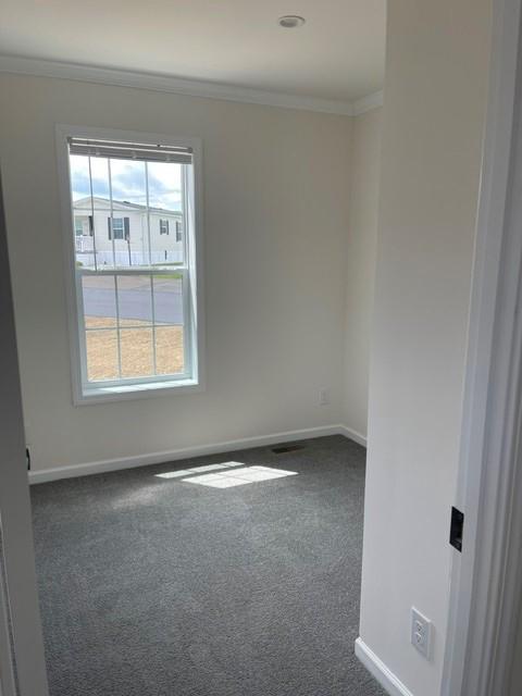 46 Center Ct Property Photo 23