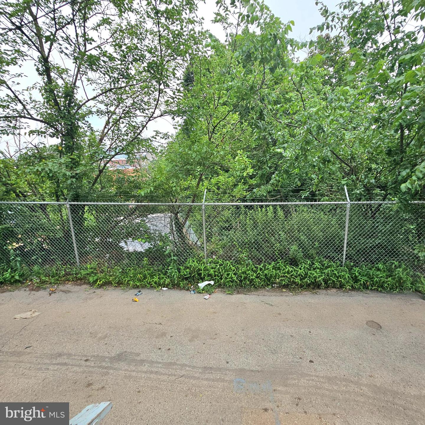103 Pearl St Property Photo 25