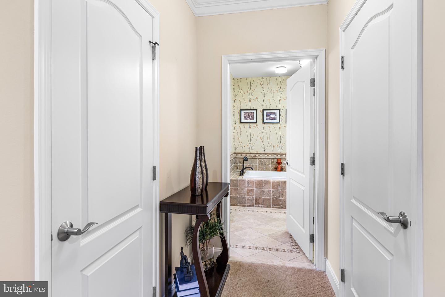 227 Carson Ter Property Photo 19