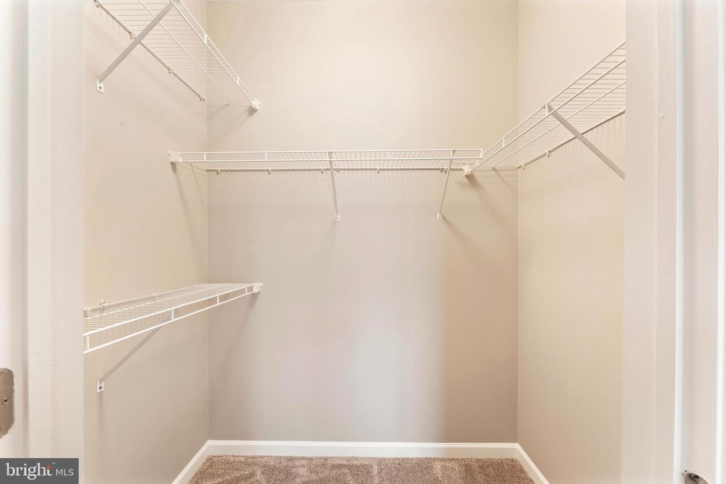 254 Carson Ter Property Photo 25