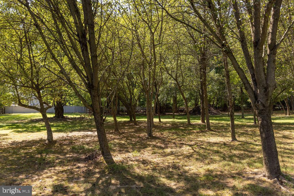 Lot 1 Walton Rd Property Photo 15