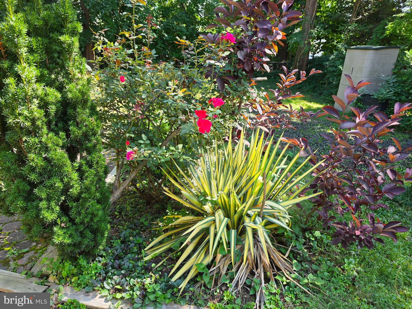 608 Washington Ln Property Photo 39
