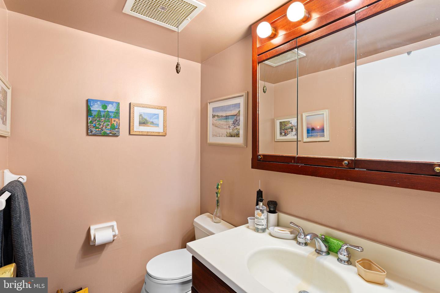 666 W Germantown Pike #2504 Property Photo 10