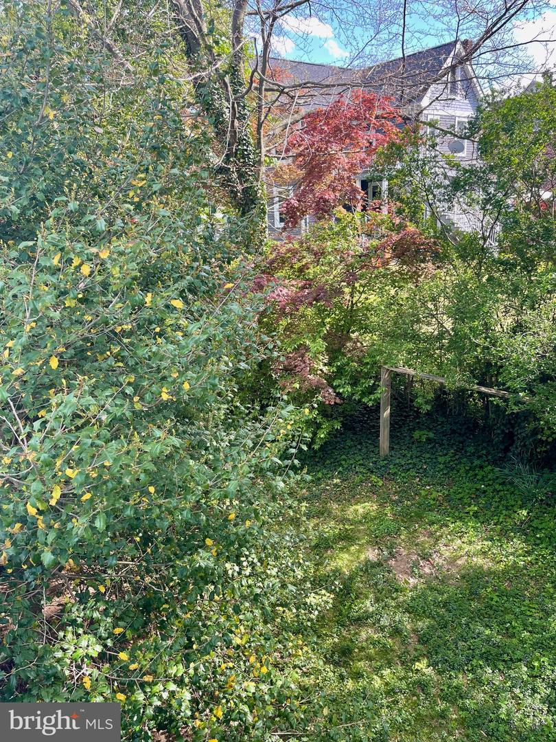 119 Robbins Ave Property Photo 54