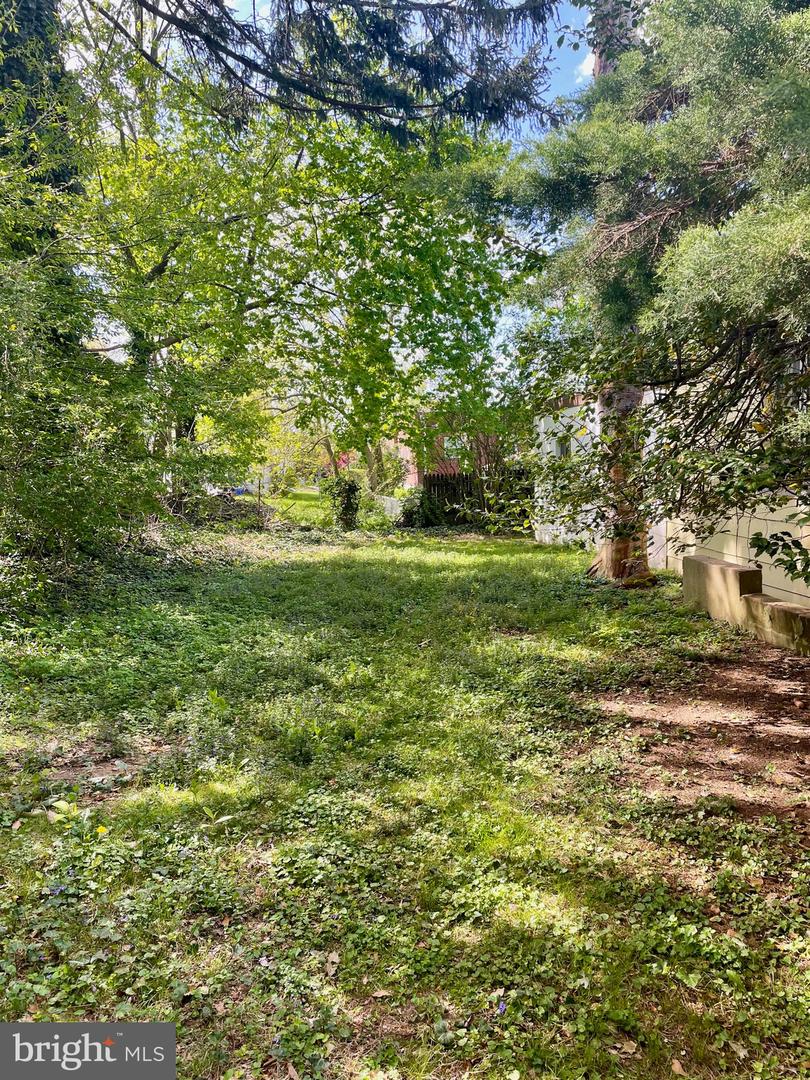 119 Robbins Ave Property Photo 63