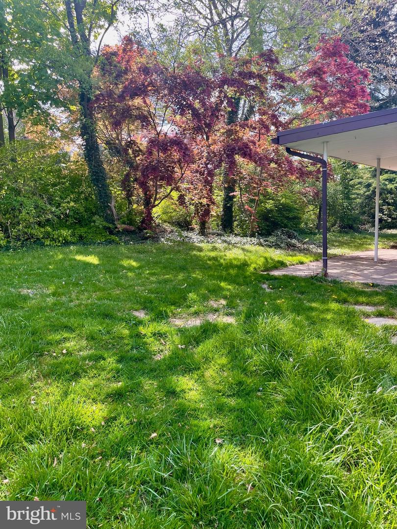 119 Robbins Ave Property Photo 65