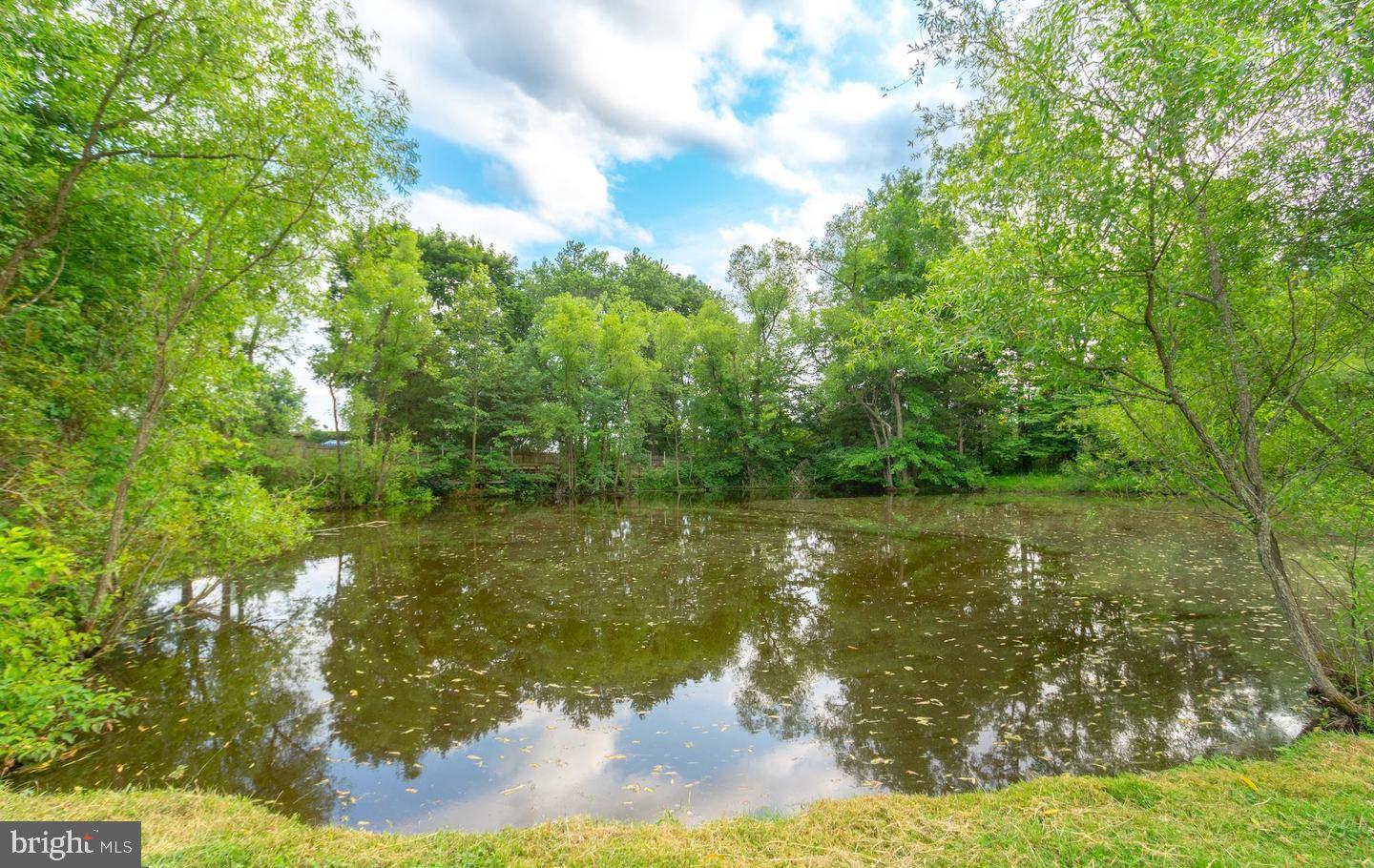 2071 Baus Rd Property Photo 6