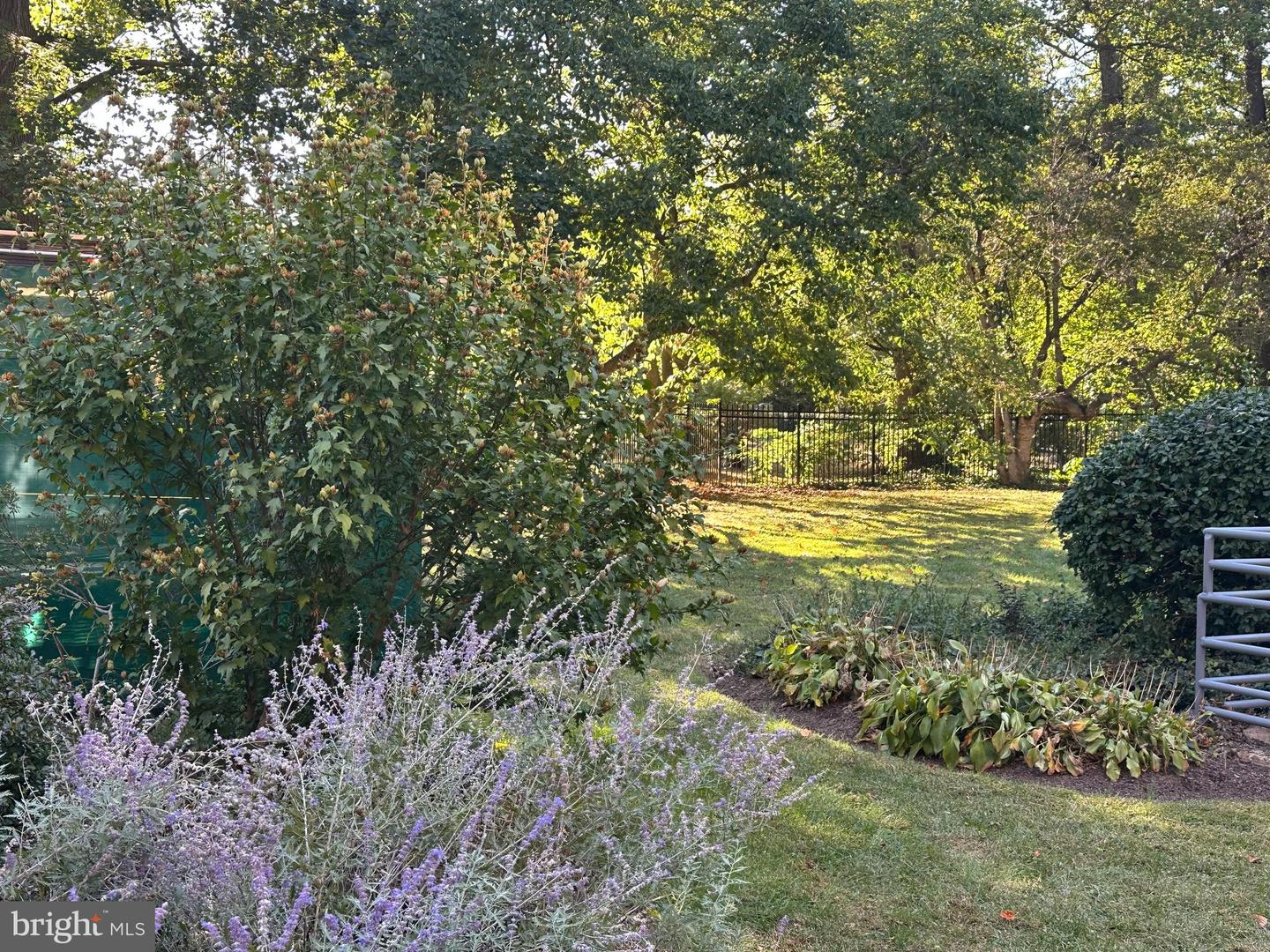 40 Old Lancaster Rd #205 Property Photo 31