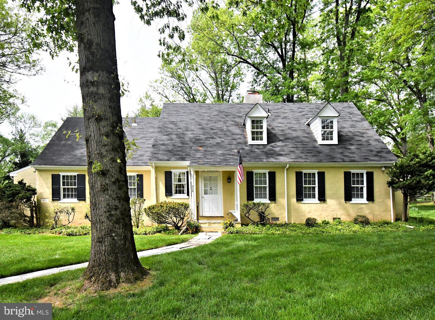 206 Cathcart Property Photo 1