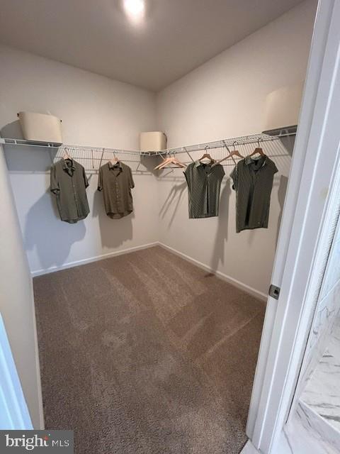3054 Bella Circle Property Photo 16