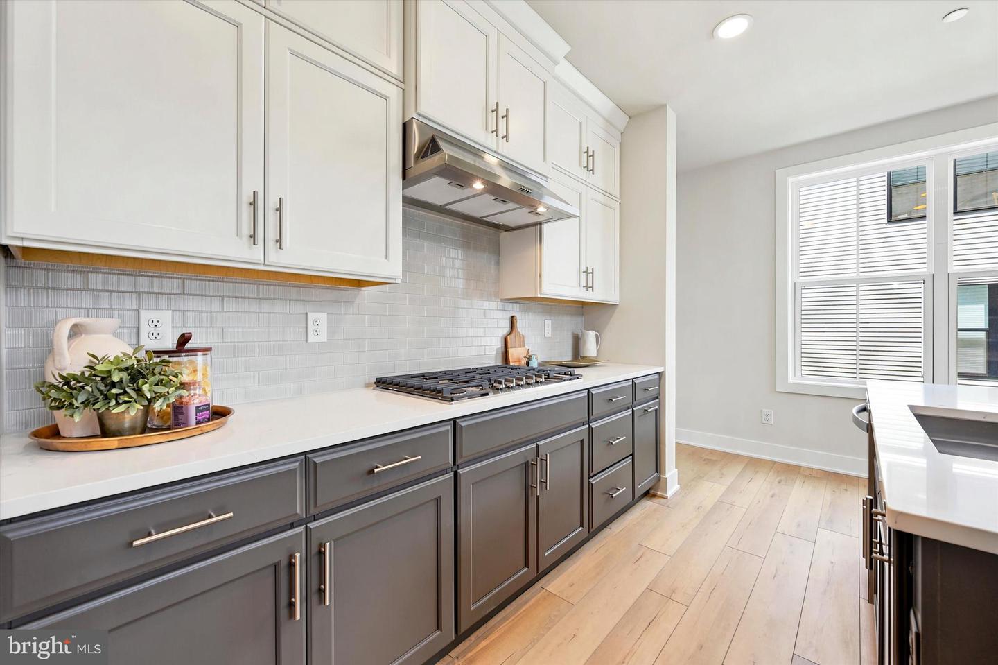 000 Regency Blvd #cassidy Floor Plan Property Photo 3