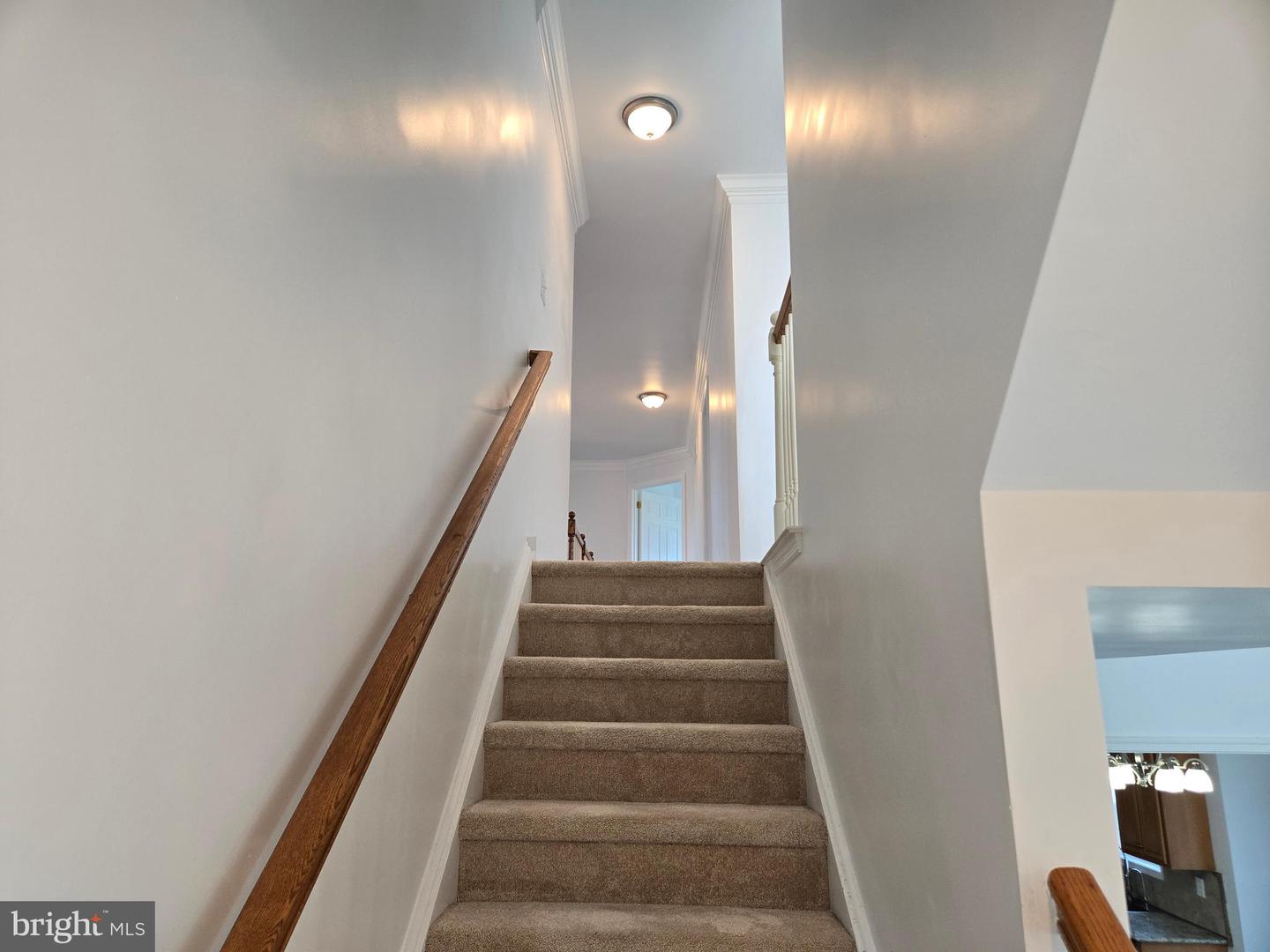 100 Lilac Ln Property Photo 27