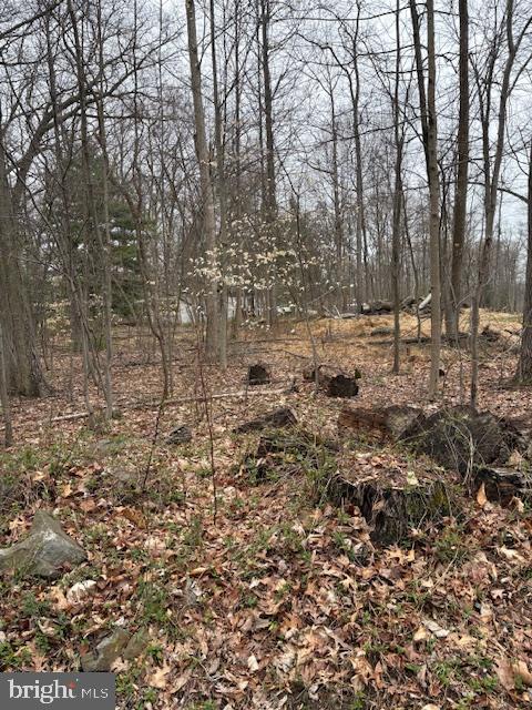 1716 Snyder Rd Property Photo 1