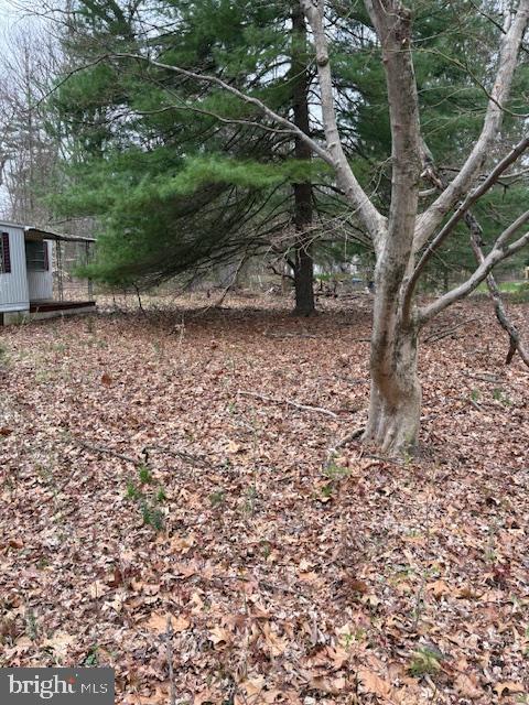 1716 Snyder Rd Property Photo 3