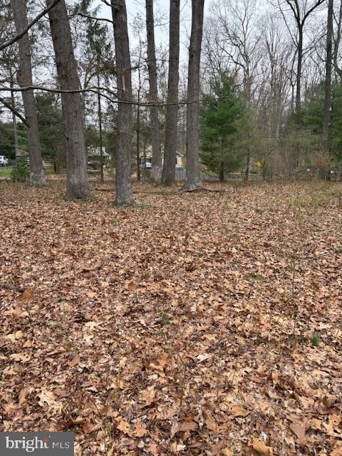 1716 Snyder Rd Property Photo 4