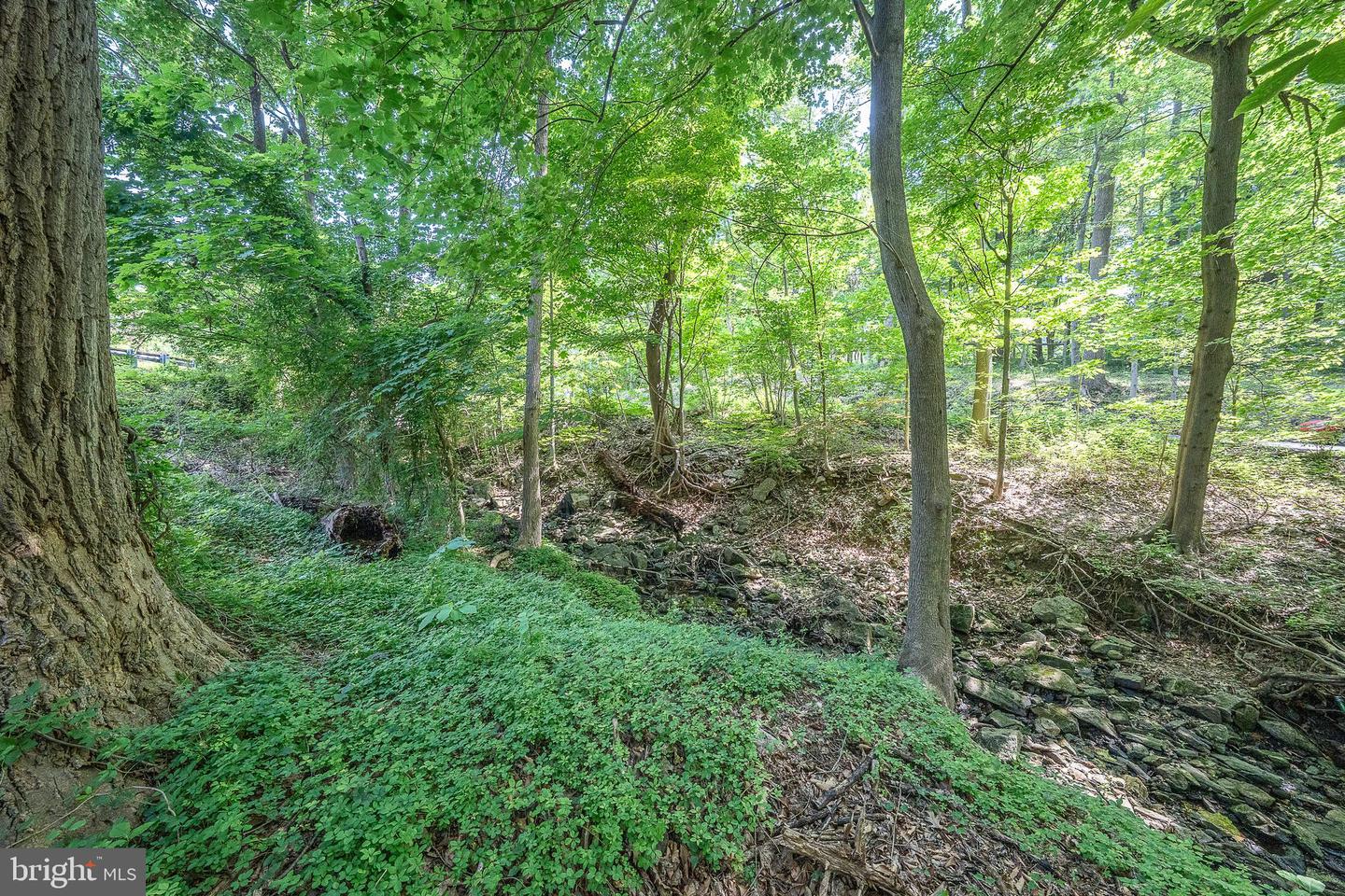 1551 Washington Ln Property Photo 61