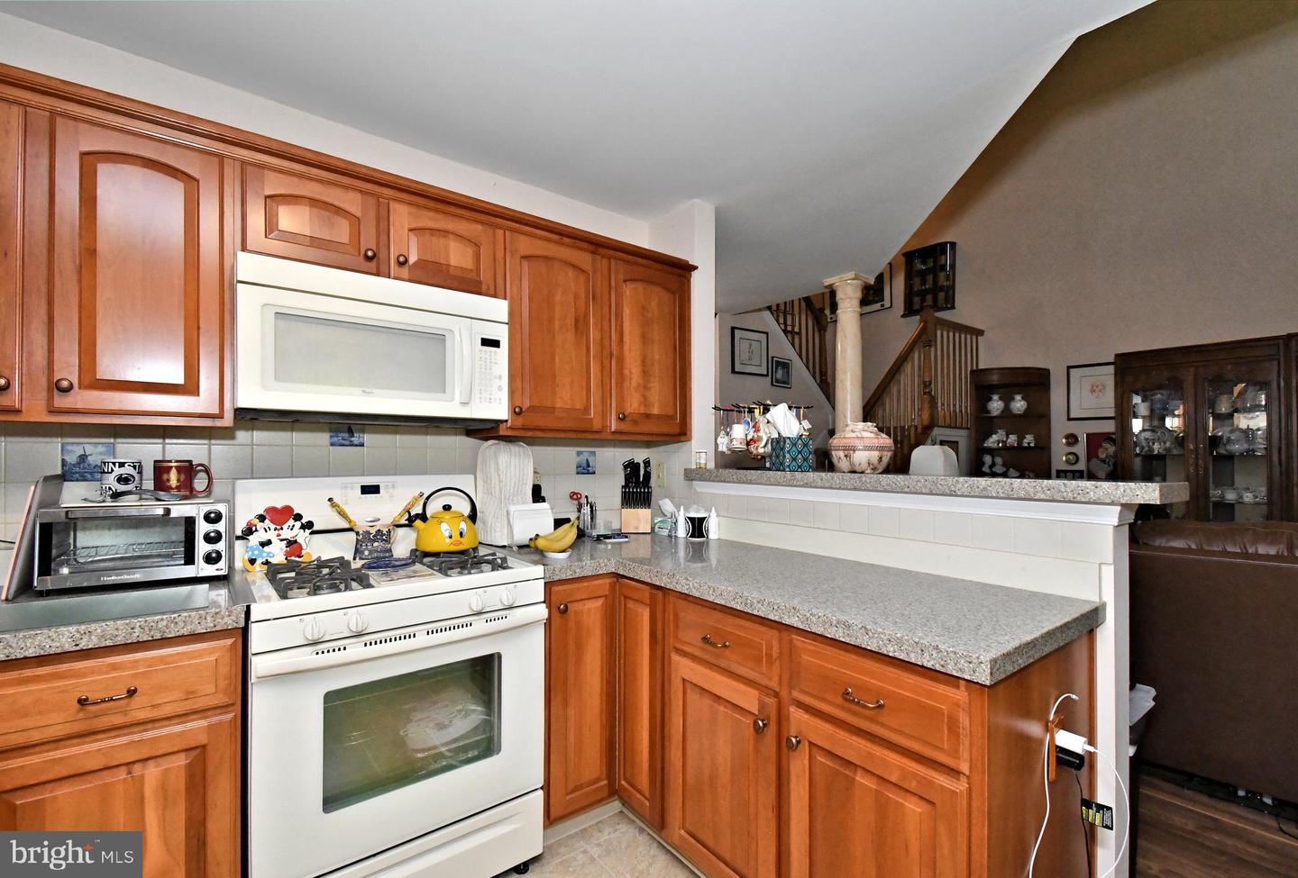 500 Pimlico Way Property Photo 24