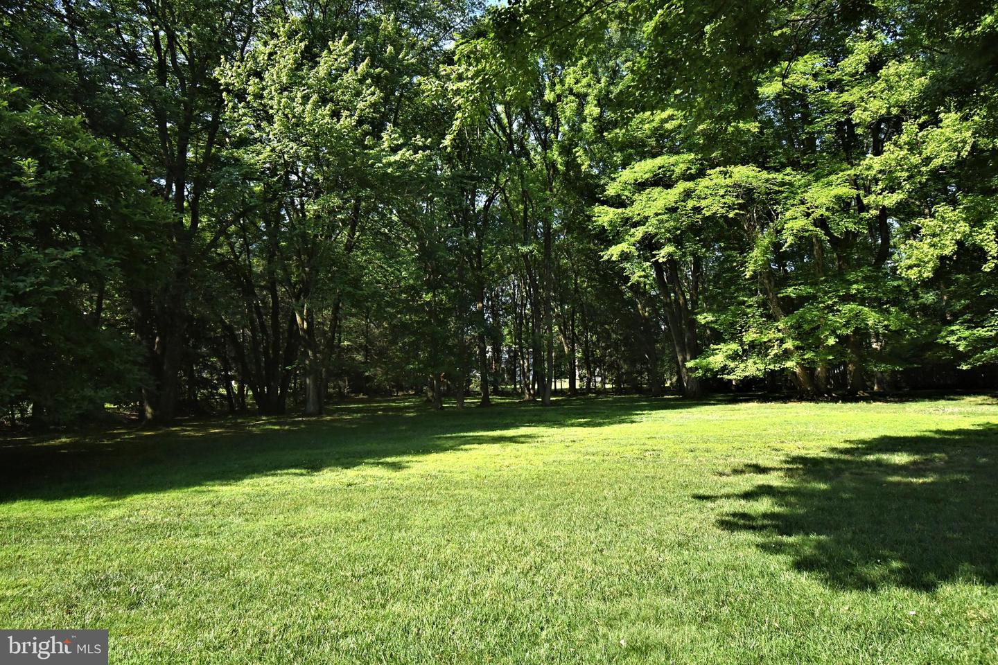 896 E Township Line Rd Property Photo 107