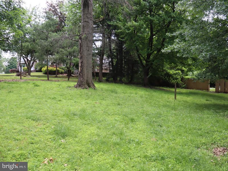 1620 Old Welsh Rd Property Photo 5