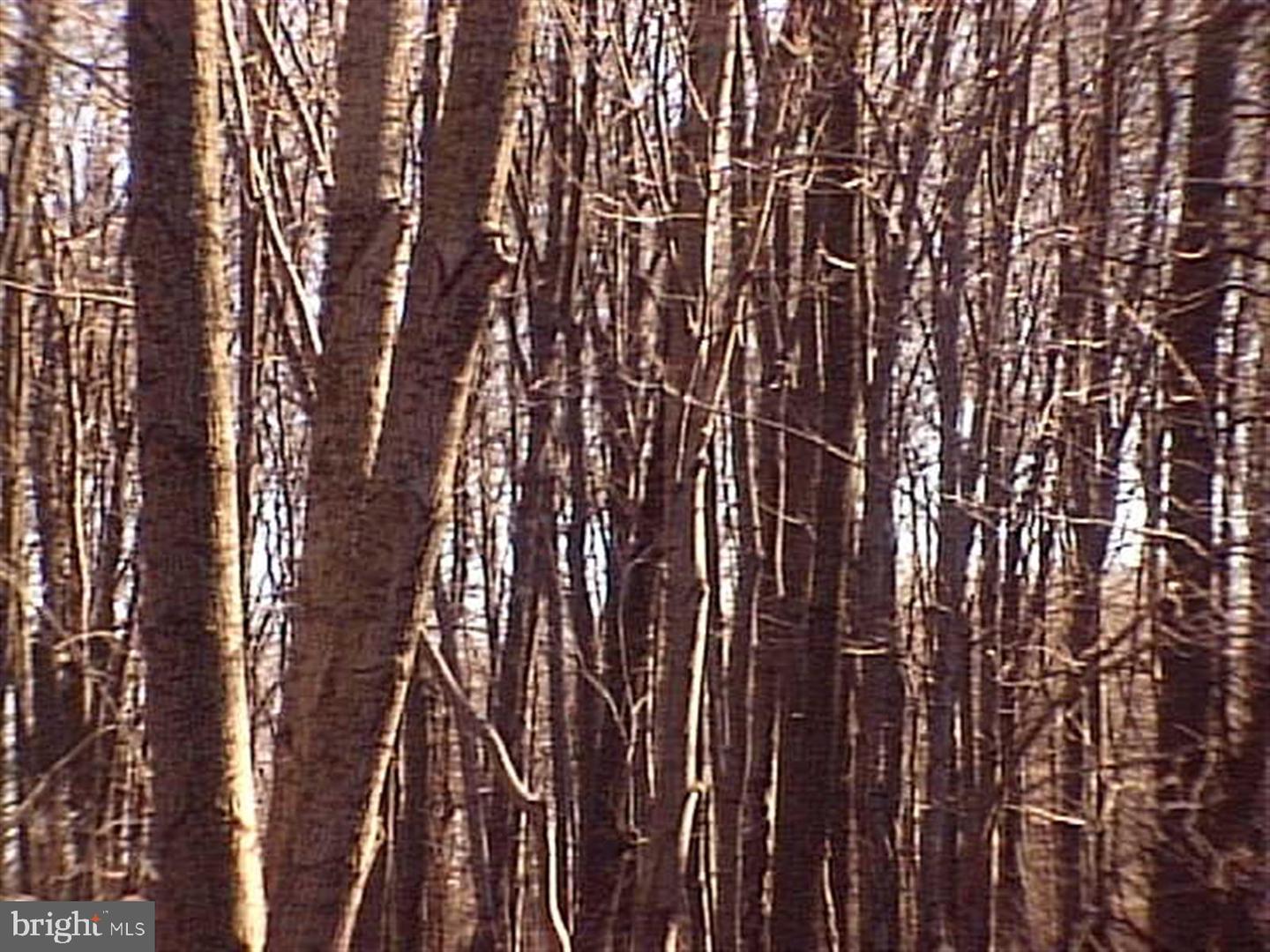 0 Fairmount St Property Photo 3