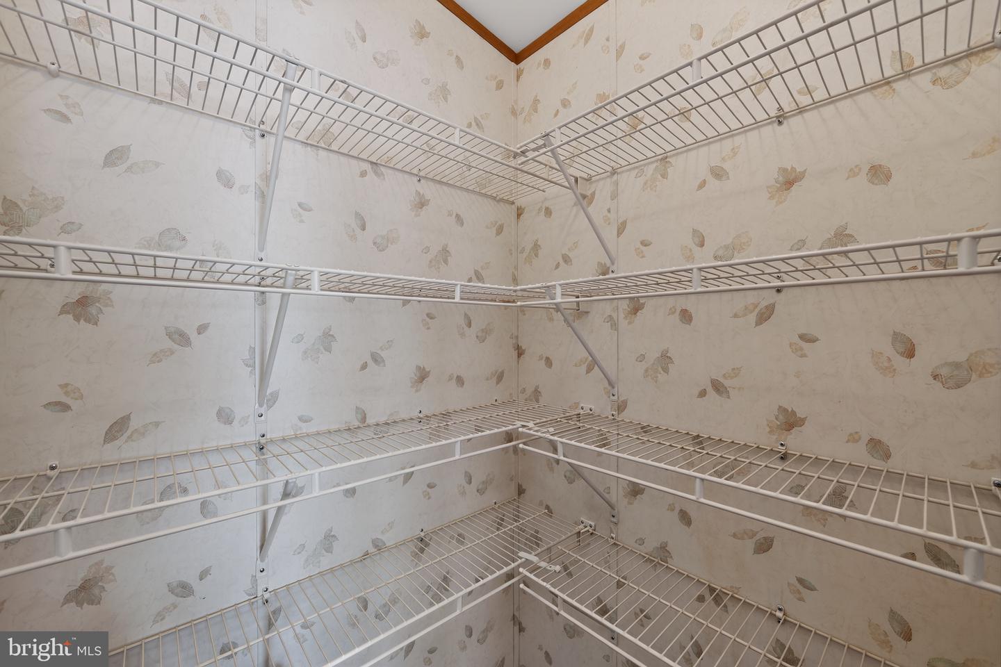 118 Dyer Ct Property Photo 29