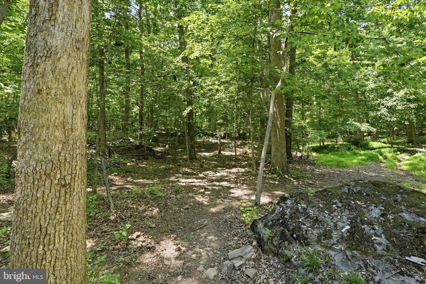 1125 Payne Rd Property Photo 42