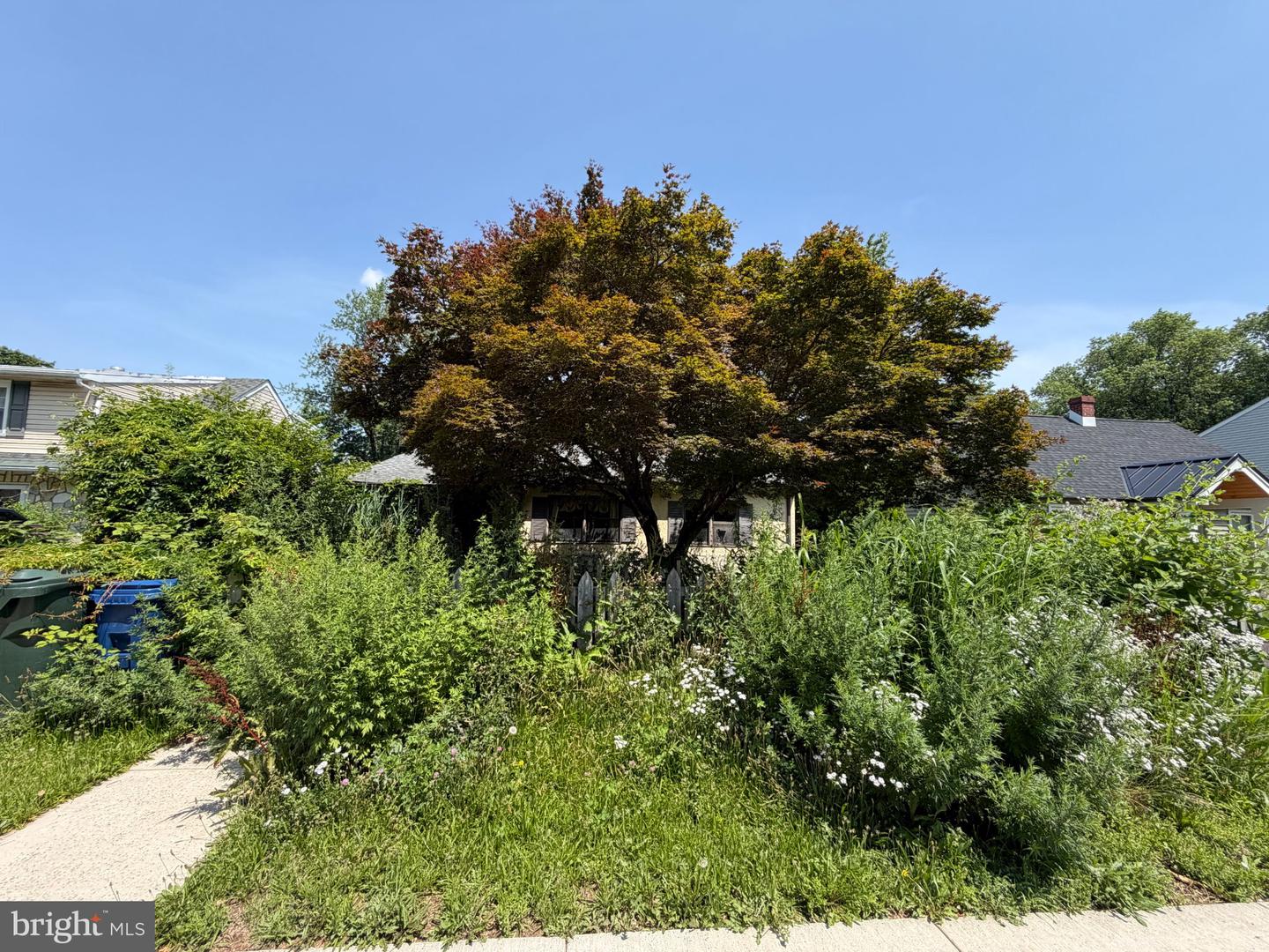 868 Tyson Ave Property Photo 2