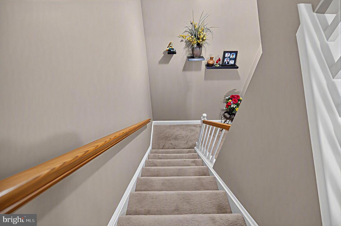 110 Meadow View Ln Property Photo 18