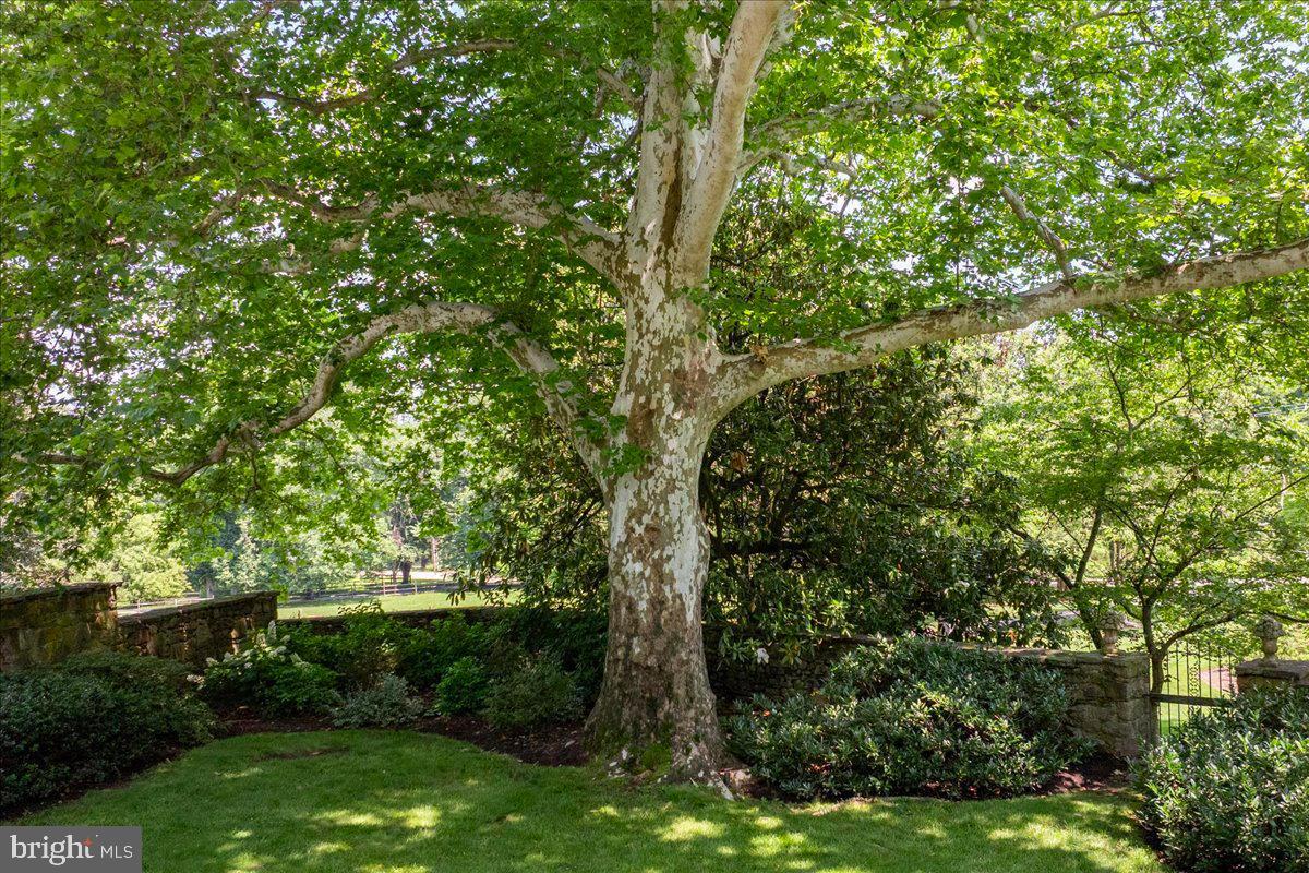 7029 Sheaff Ln Property Photo 68