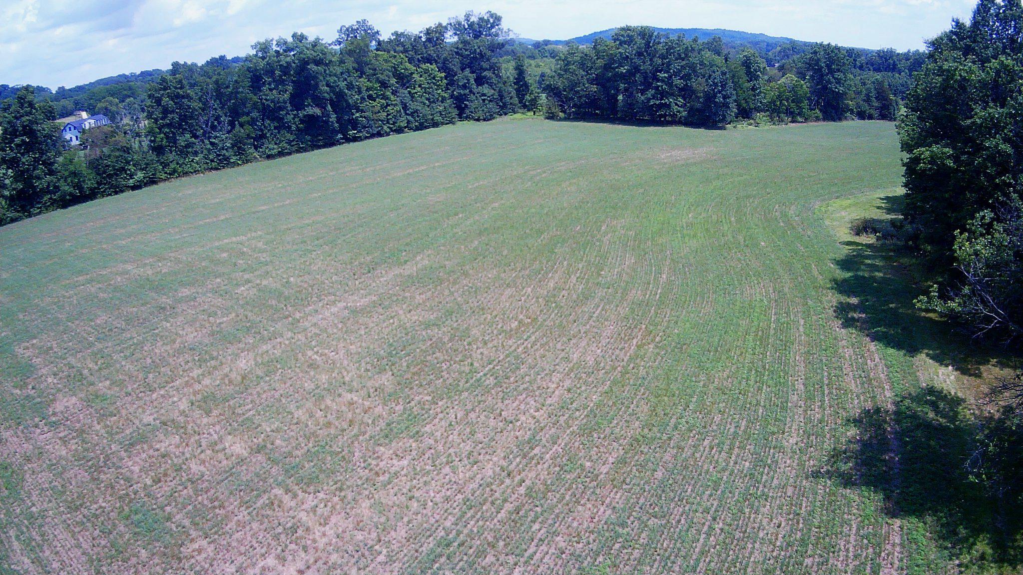 227 Schlegel Rd Property Photo 4