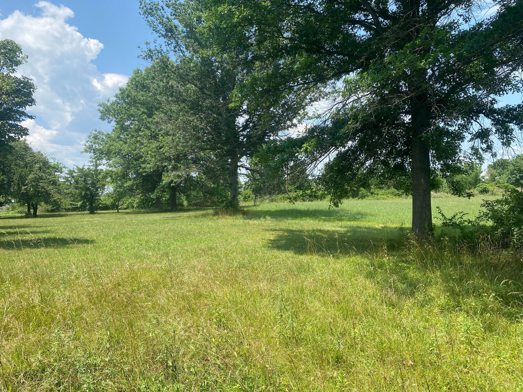 227 Schlegel Rd Property Photo 13