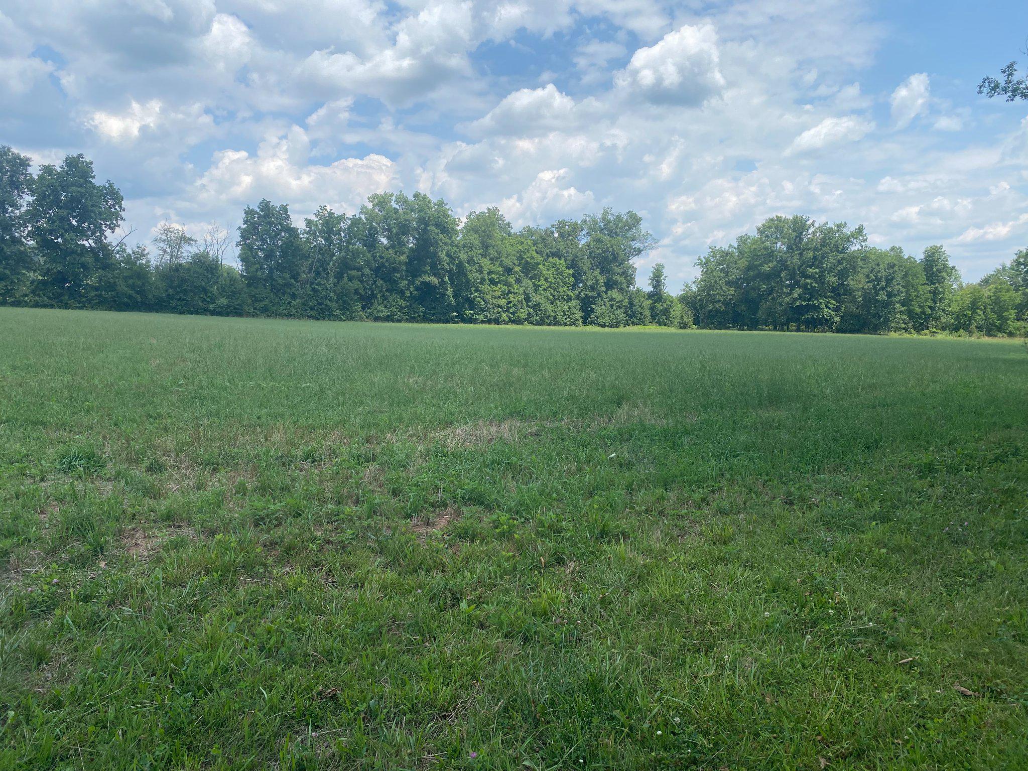 227 Schlegel Rd Property Photo 16