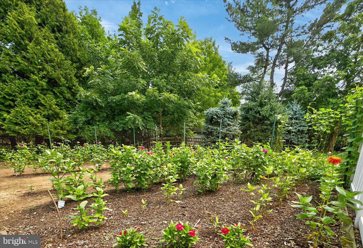 2125 Berry Dr Property Photo 42