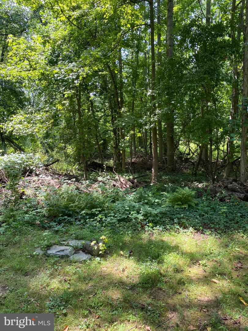 917 Limekiln Pike Property Photo 10