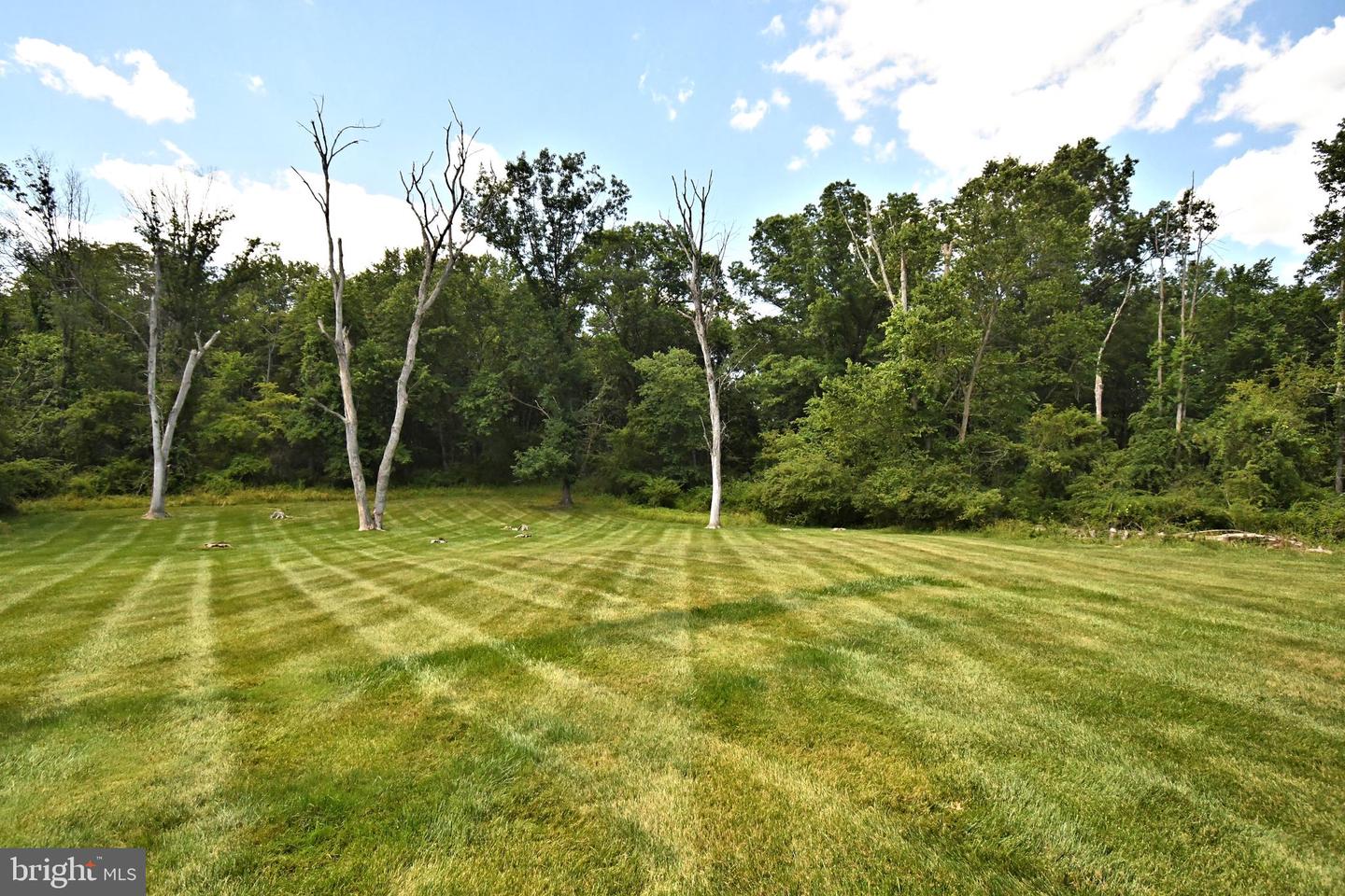 1651 North Wales Rd Property Photo 11