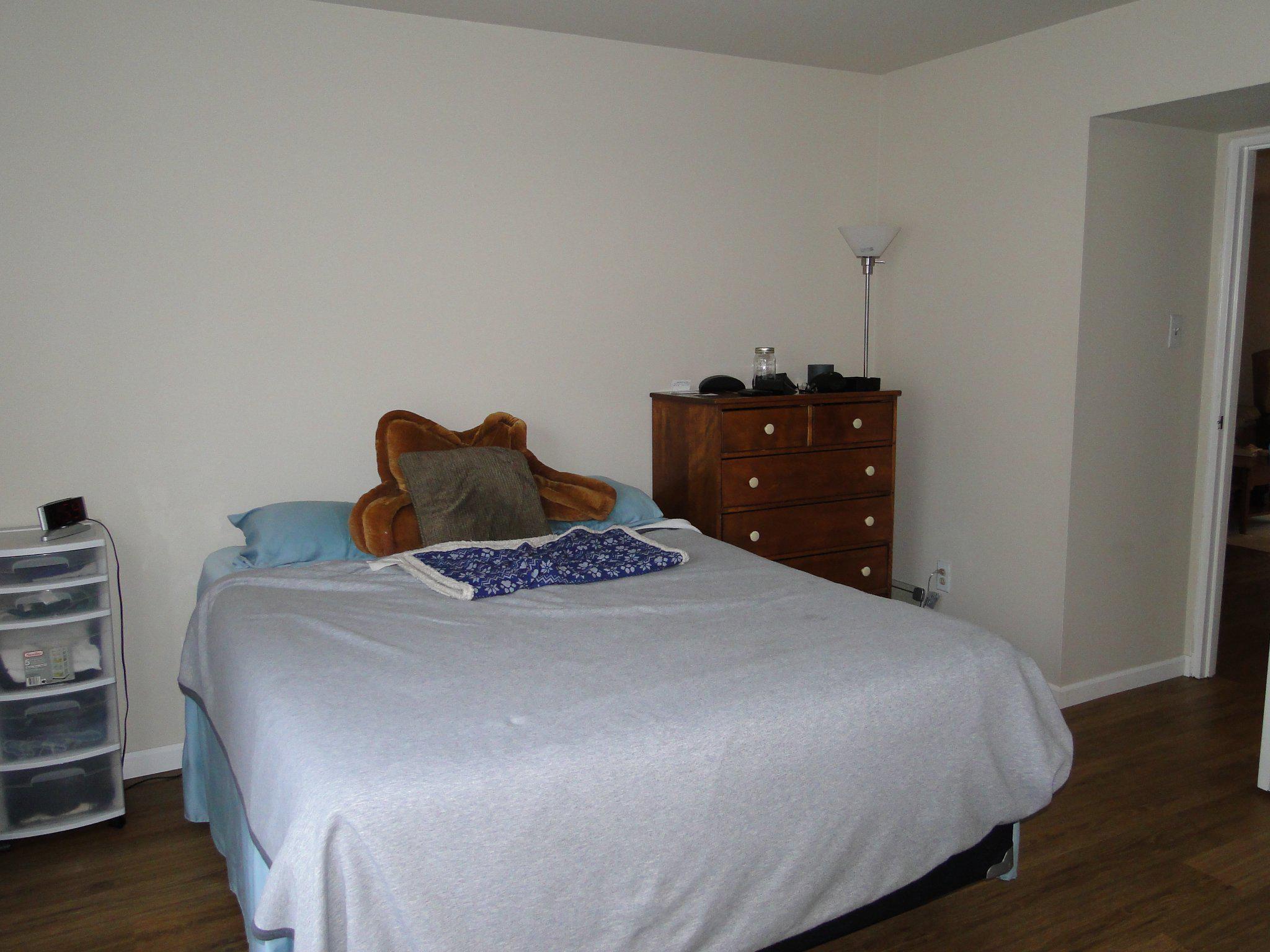 8 Shannon Dr Property Photo 12