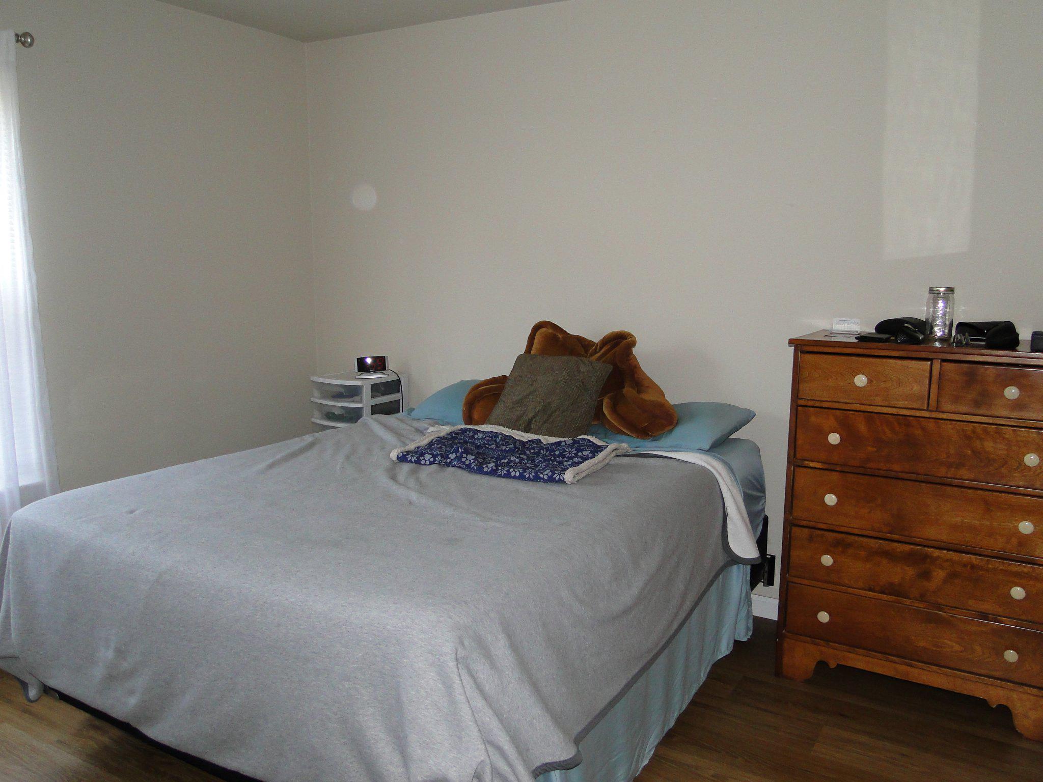 8 Shannon Dr Property Photo 14